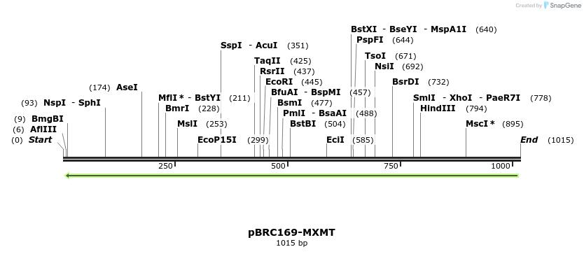 156927_map