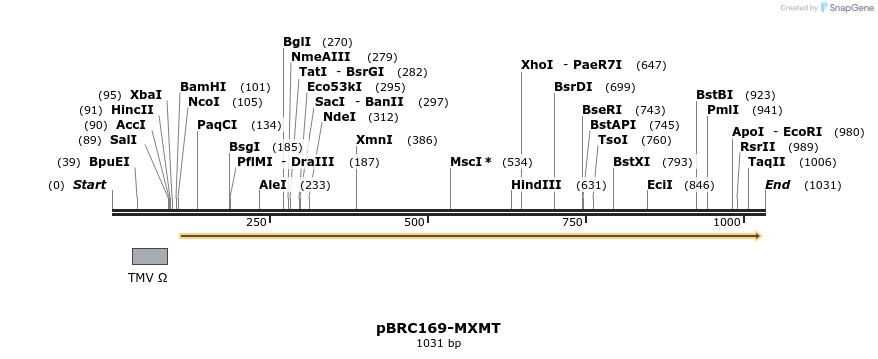 156929_map