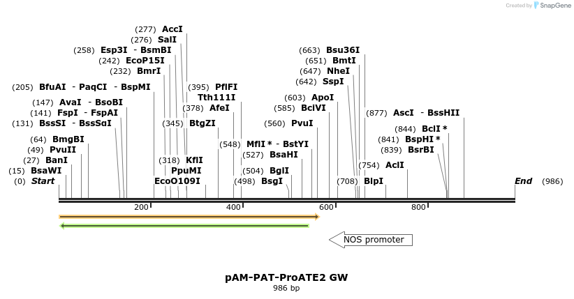 156934_map