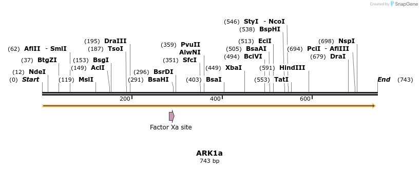156935_map
