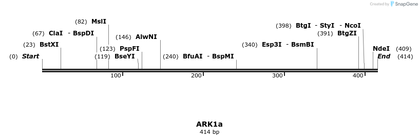 156937_map