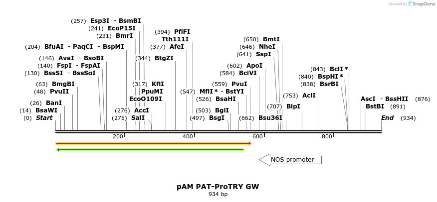 156939_map
