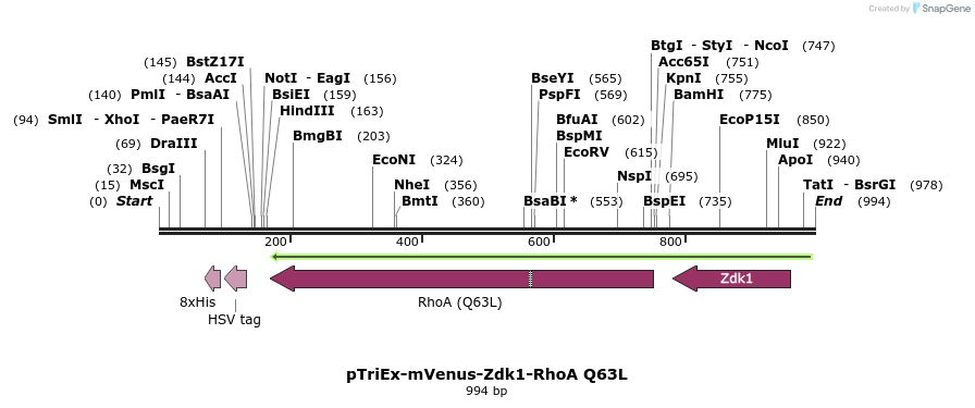 156957_map