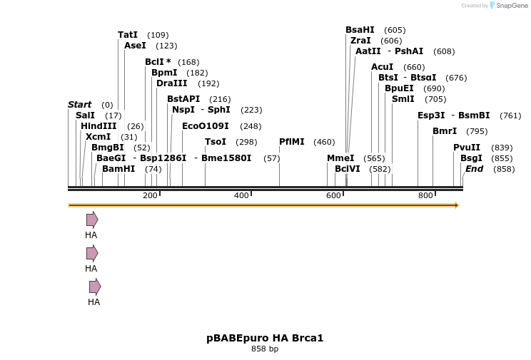 156970_map