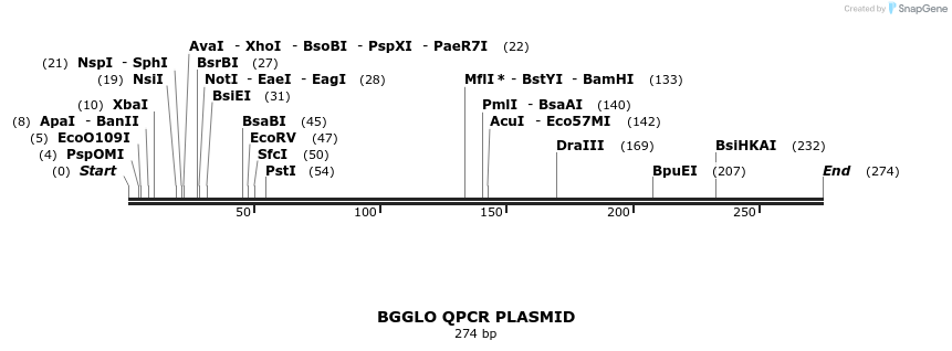 156971_map