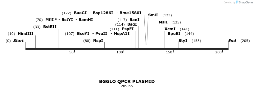 156972_map