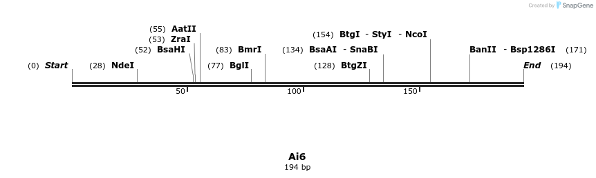 156973_map