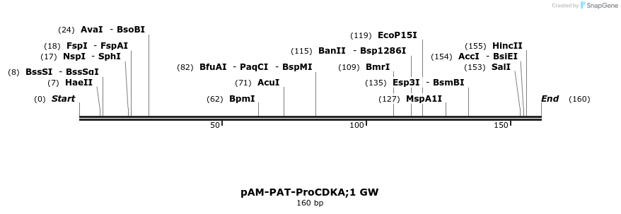 156974_map