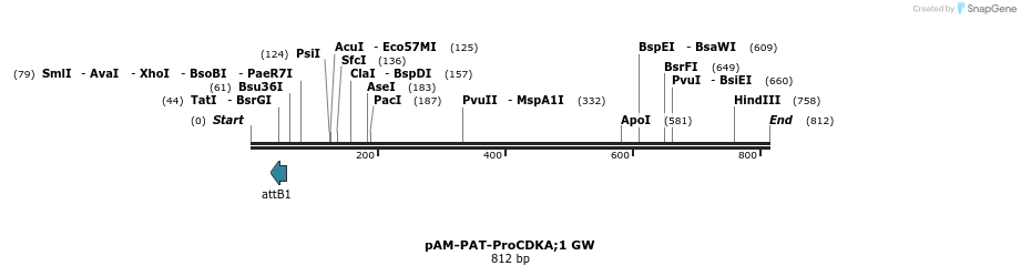 156975_map