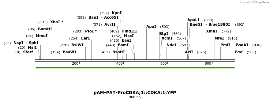 156977_map