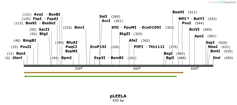 156989_map