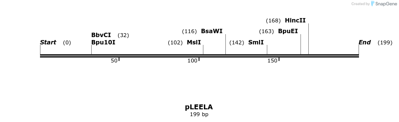 156990_map