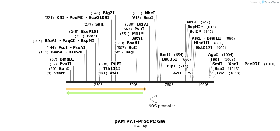156996_map