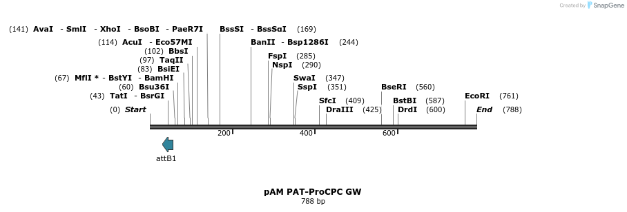 156997_map