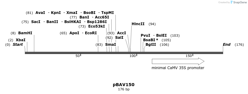 157003_map