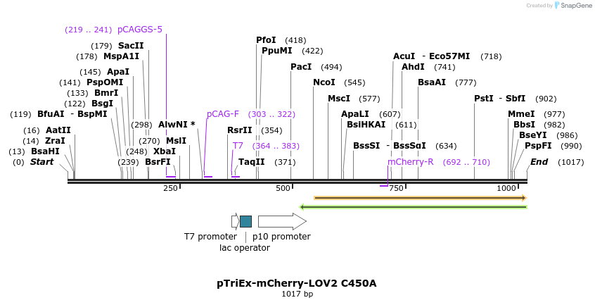 157004_map