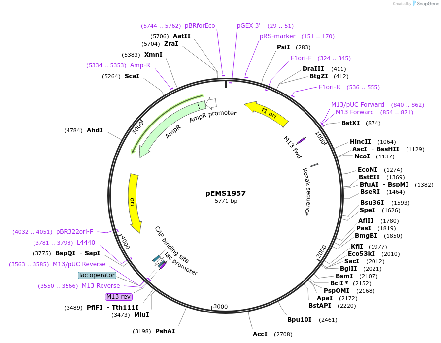 157015_map