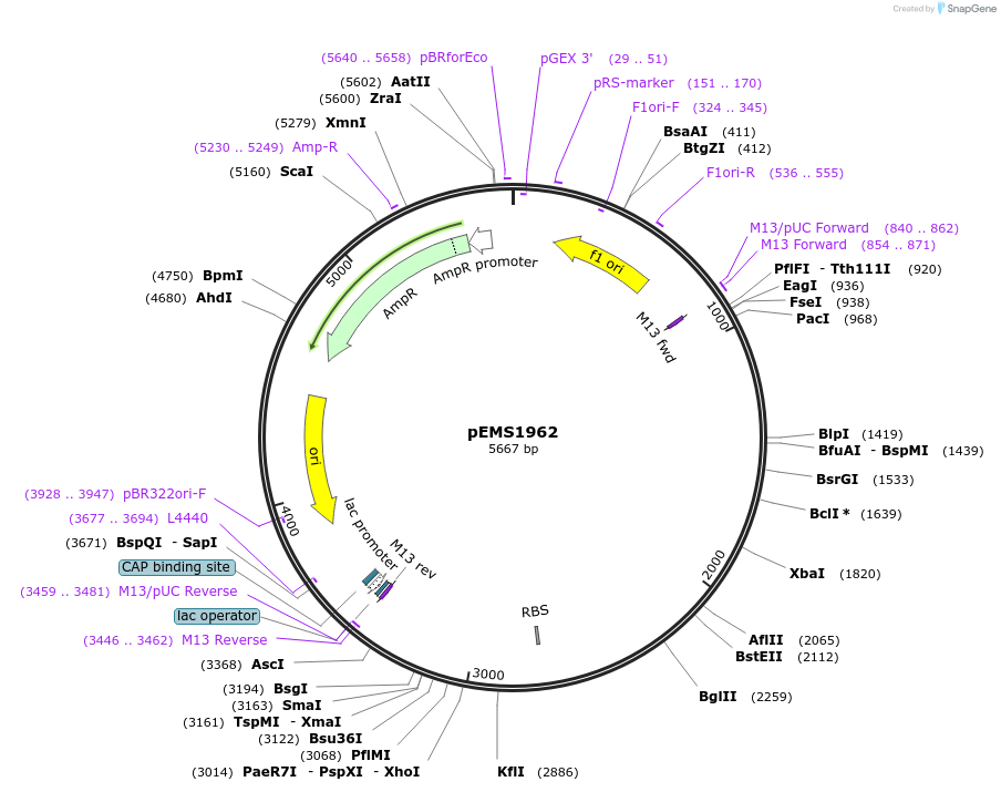157019_map