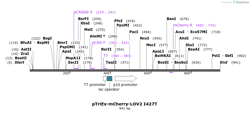 157030_map