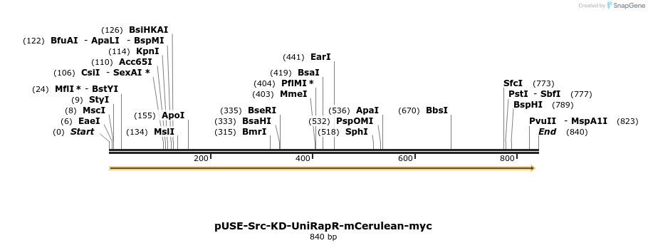 157036_map