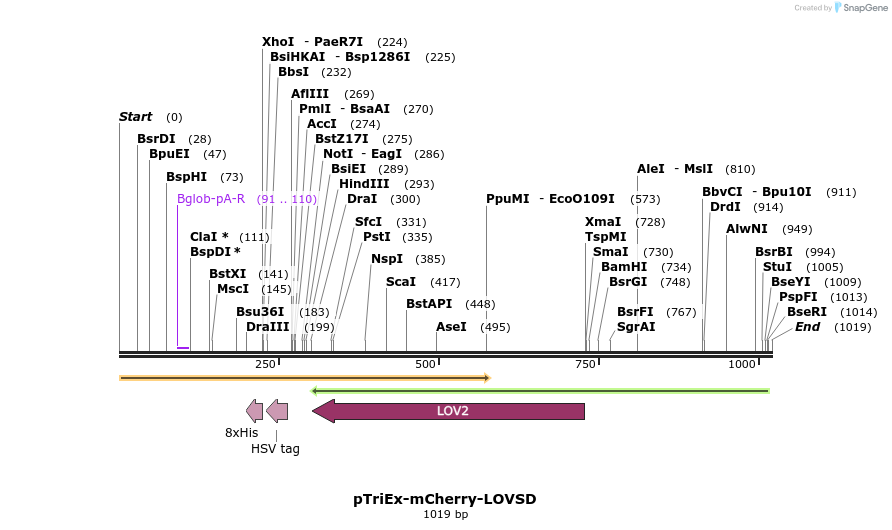 157041_map