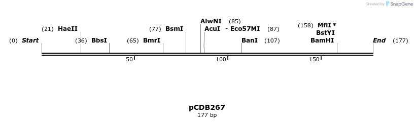 157044_map