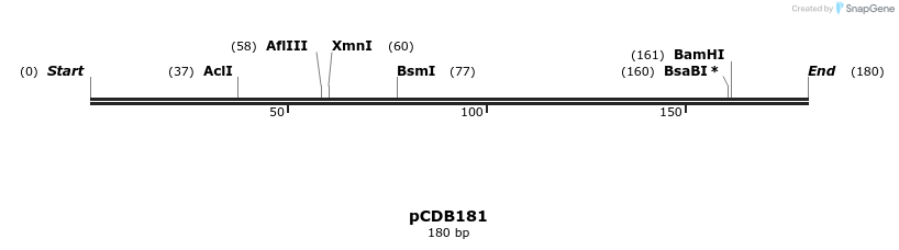 157047_map