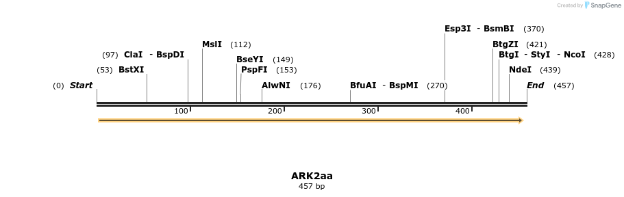 157049_map