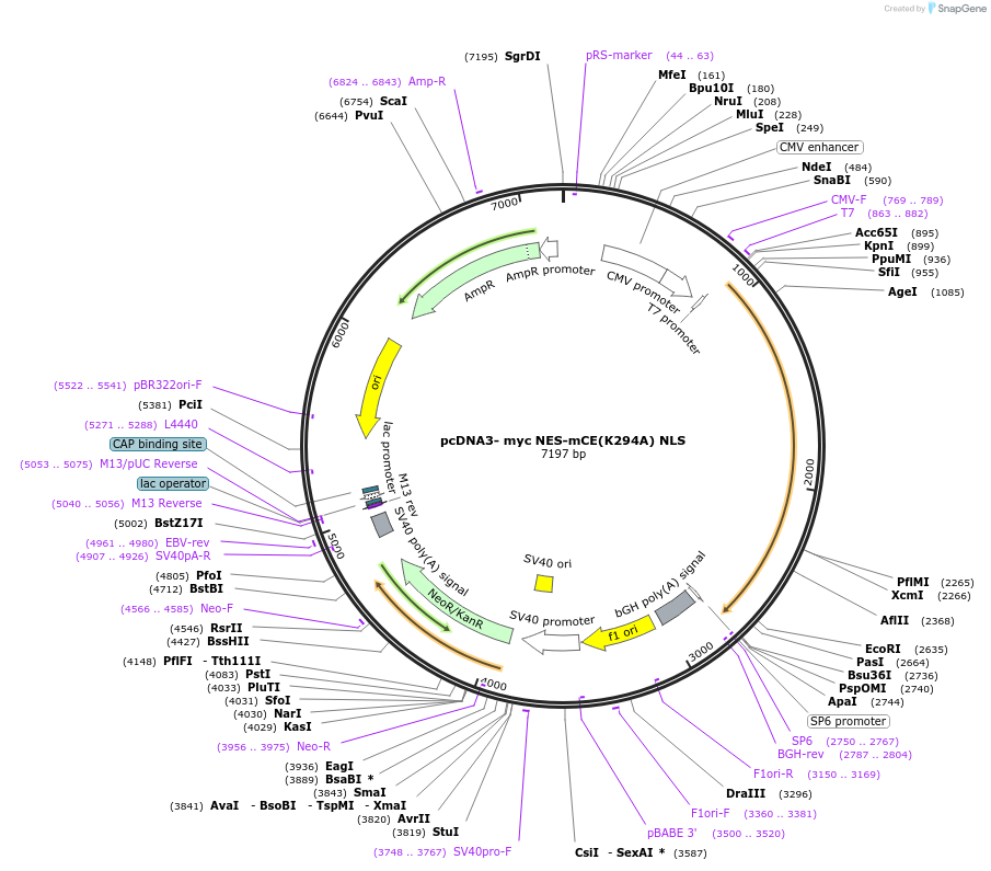 157054_map