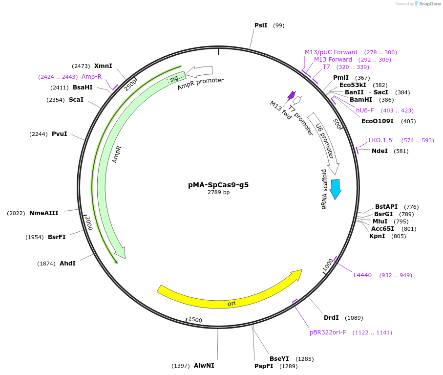 157060_map