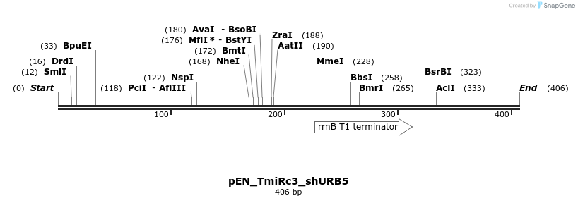 157075_map