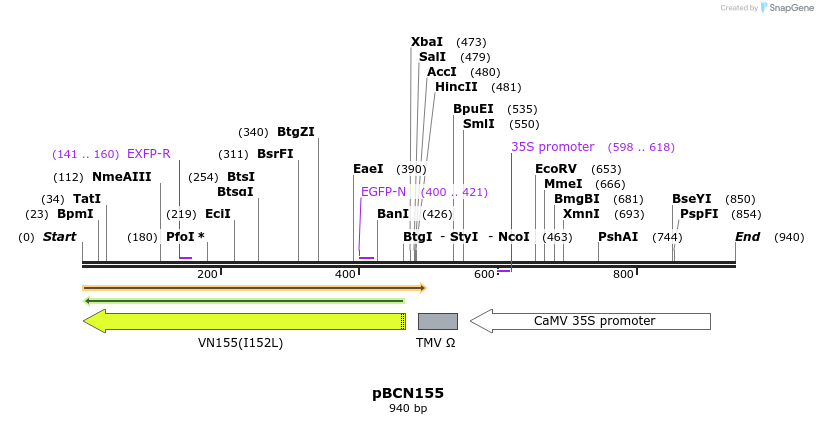 157080_map