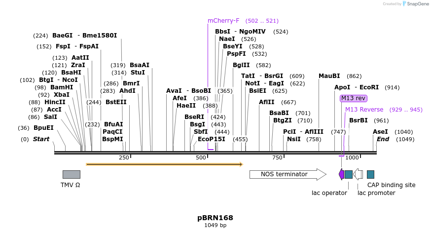 157094_map