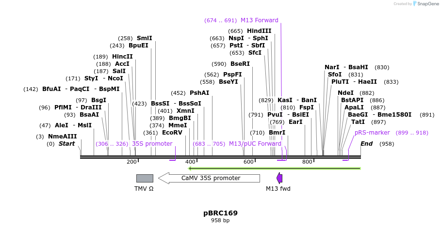 157097_map