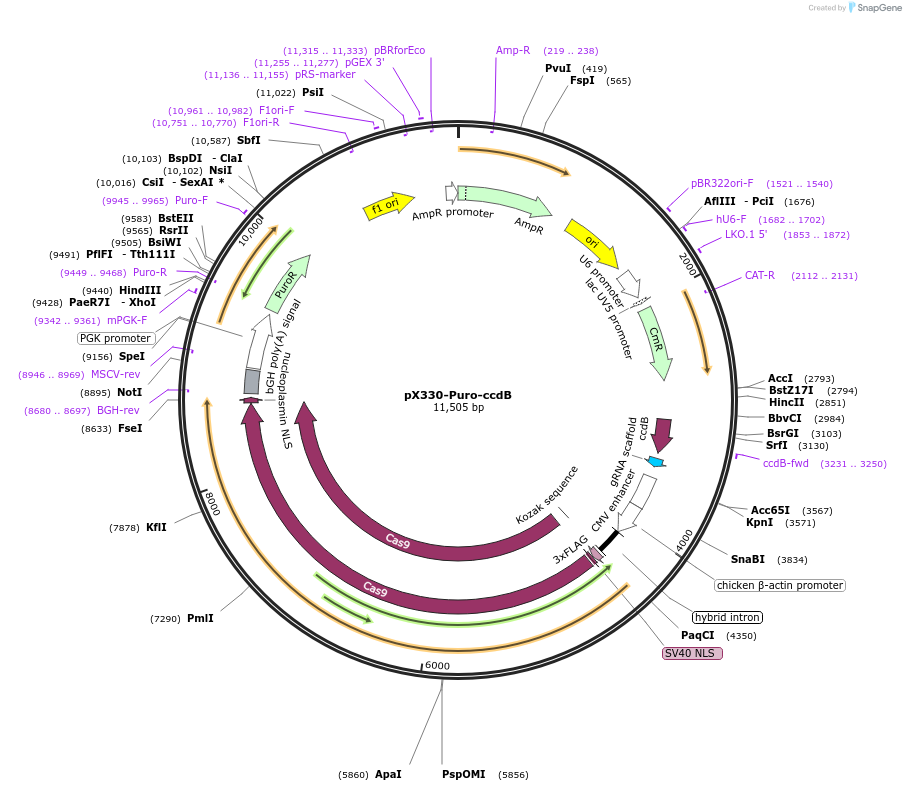 157099_map