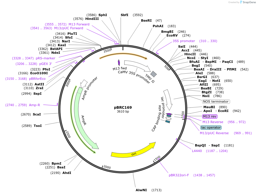 157101_map