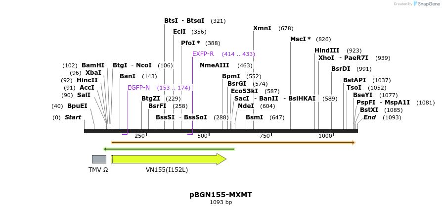 157102_map