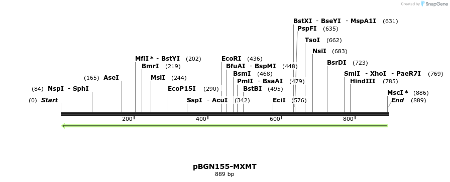 157103_map