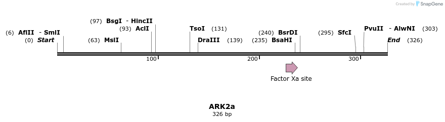 157105_map