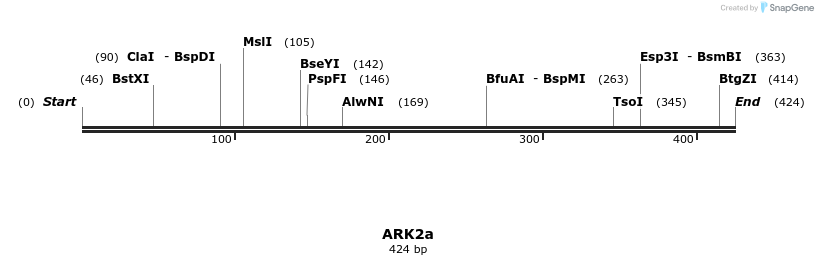 157107_map