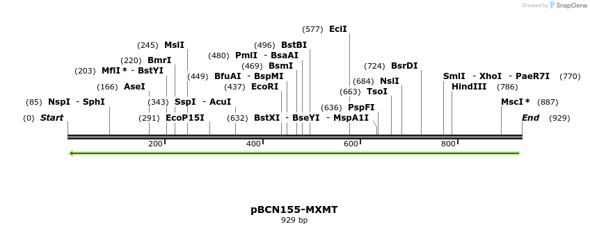157110_map