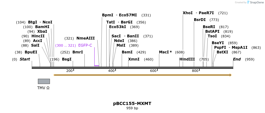 157117_map
