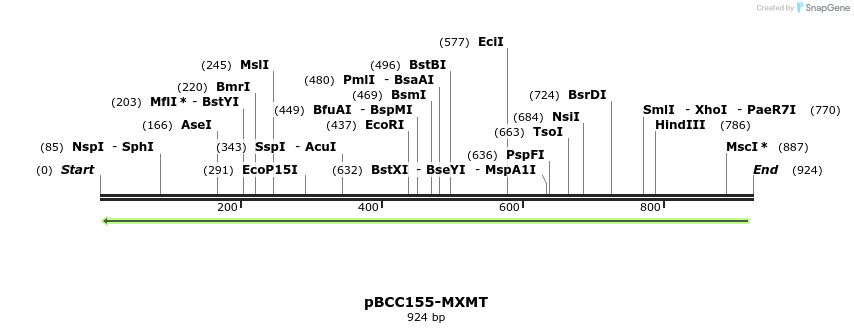 157118_map