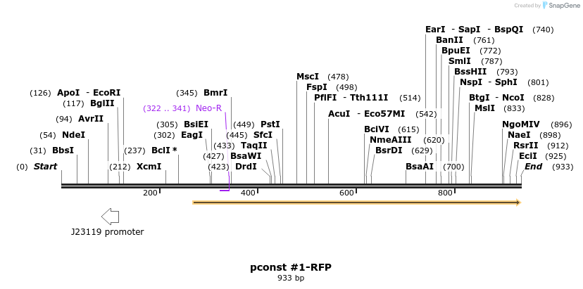 157119_map