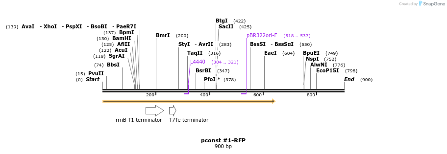 157120_map