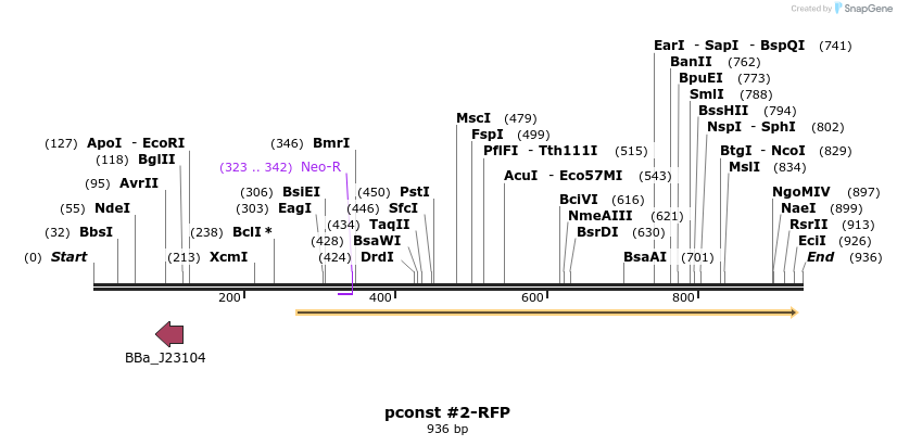 157121_map