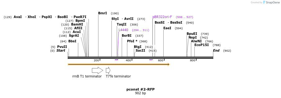 157122_map