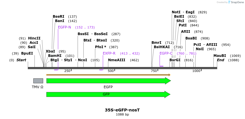 157124_map