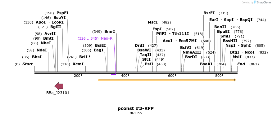 157126_map