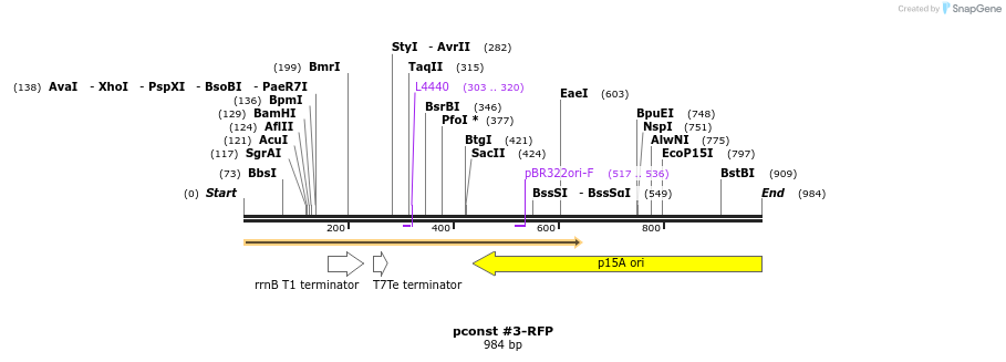 157127_map